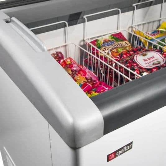 Ларь морозильный Frostor FG 275 E серый