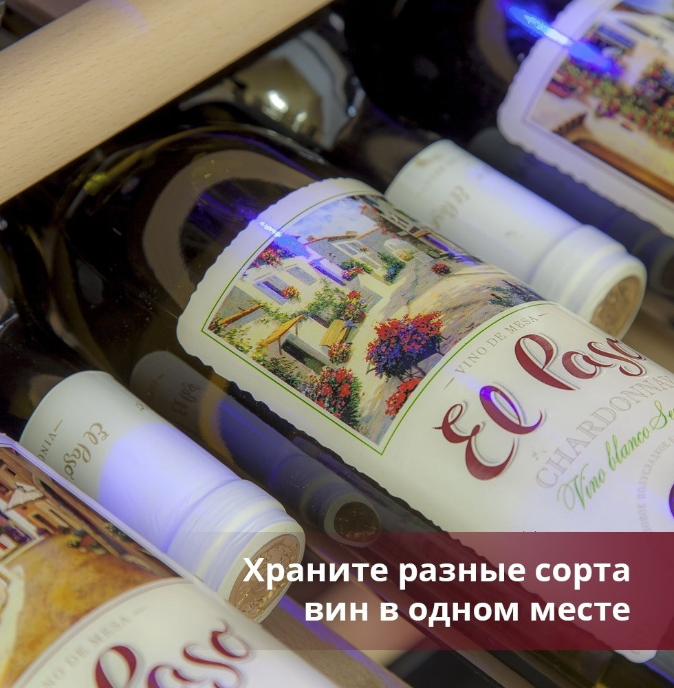 Шкаф винный Cold Vine C38-KSF2