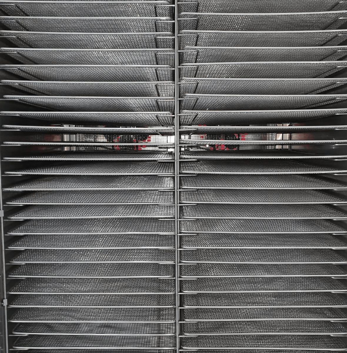 Дегидратор сушилка Abat ШС-32-2Г-01 (71000000381)