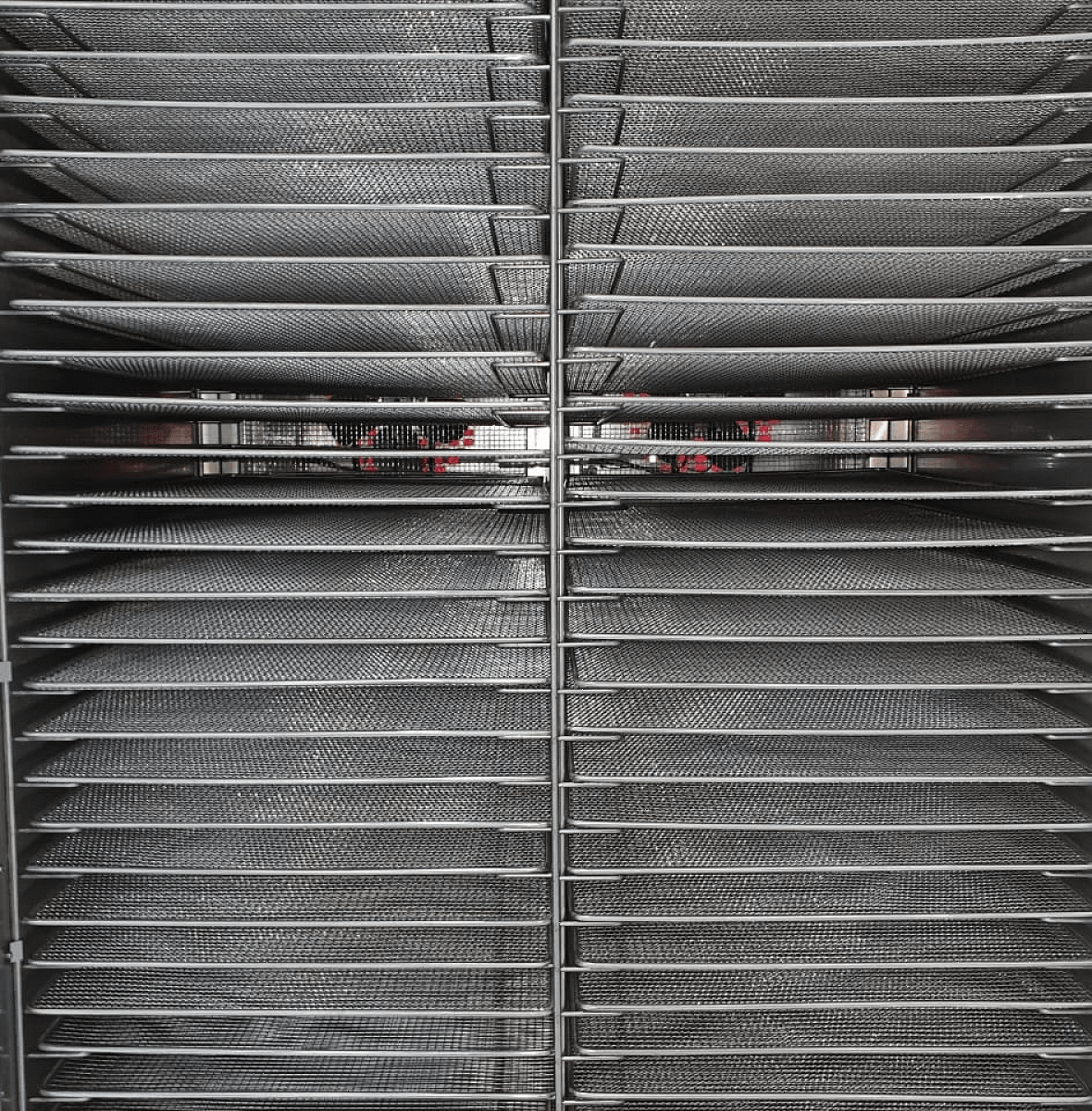 Дегидратор сушилка Abat ШС-32-2Г-03 (71000000380)