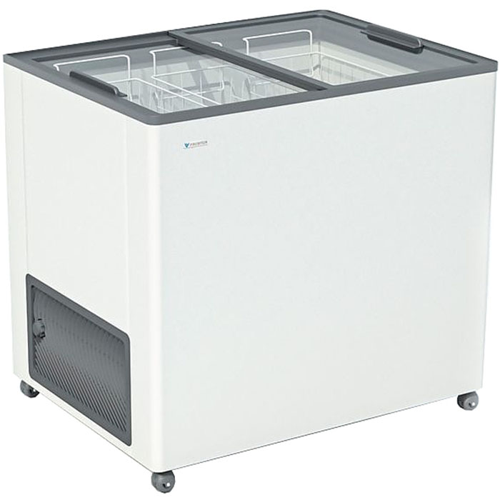 Ларь морозильный Frostor F 250 С серый (R290)