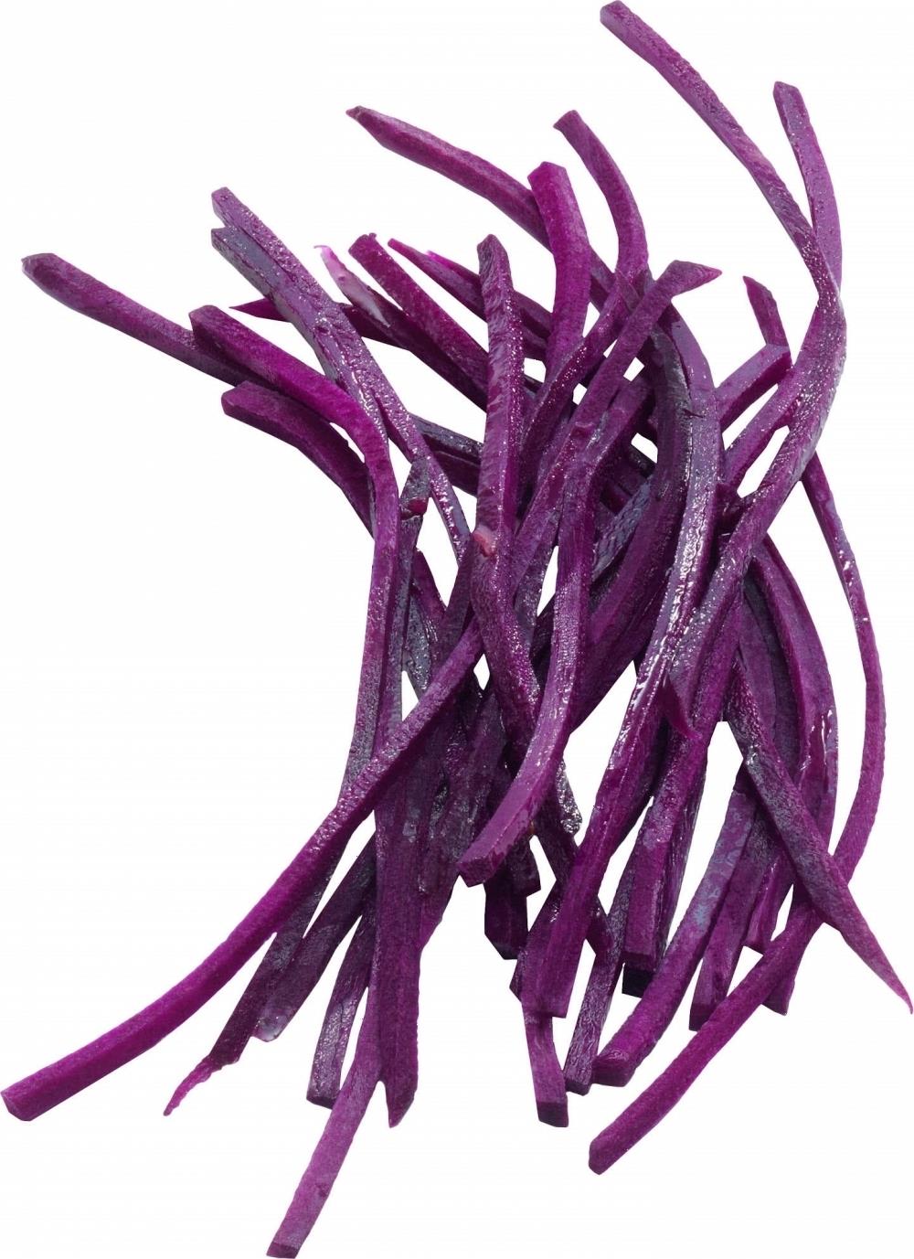 Набор из 5 дисков Robot Coupe 1960