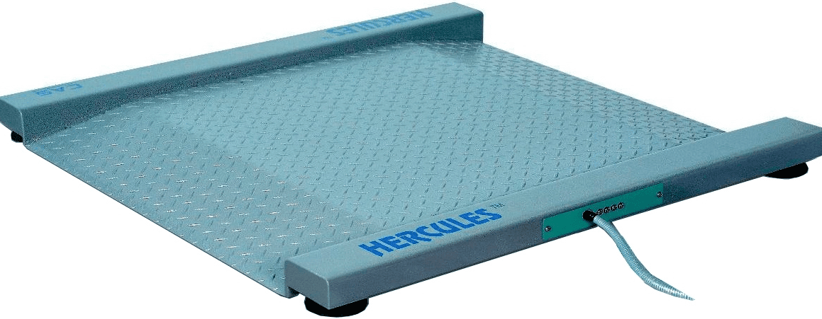 Весы платформенные Cas R-600