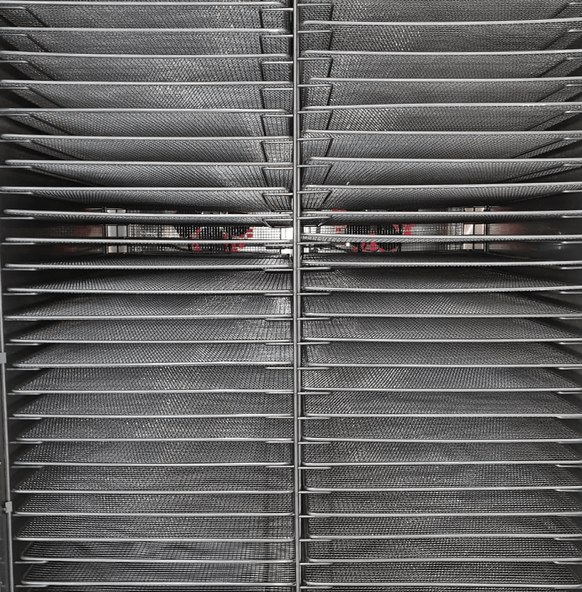 Дегидратор сушилка Abat ШС-32-2В-03 (71000000379)