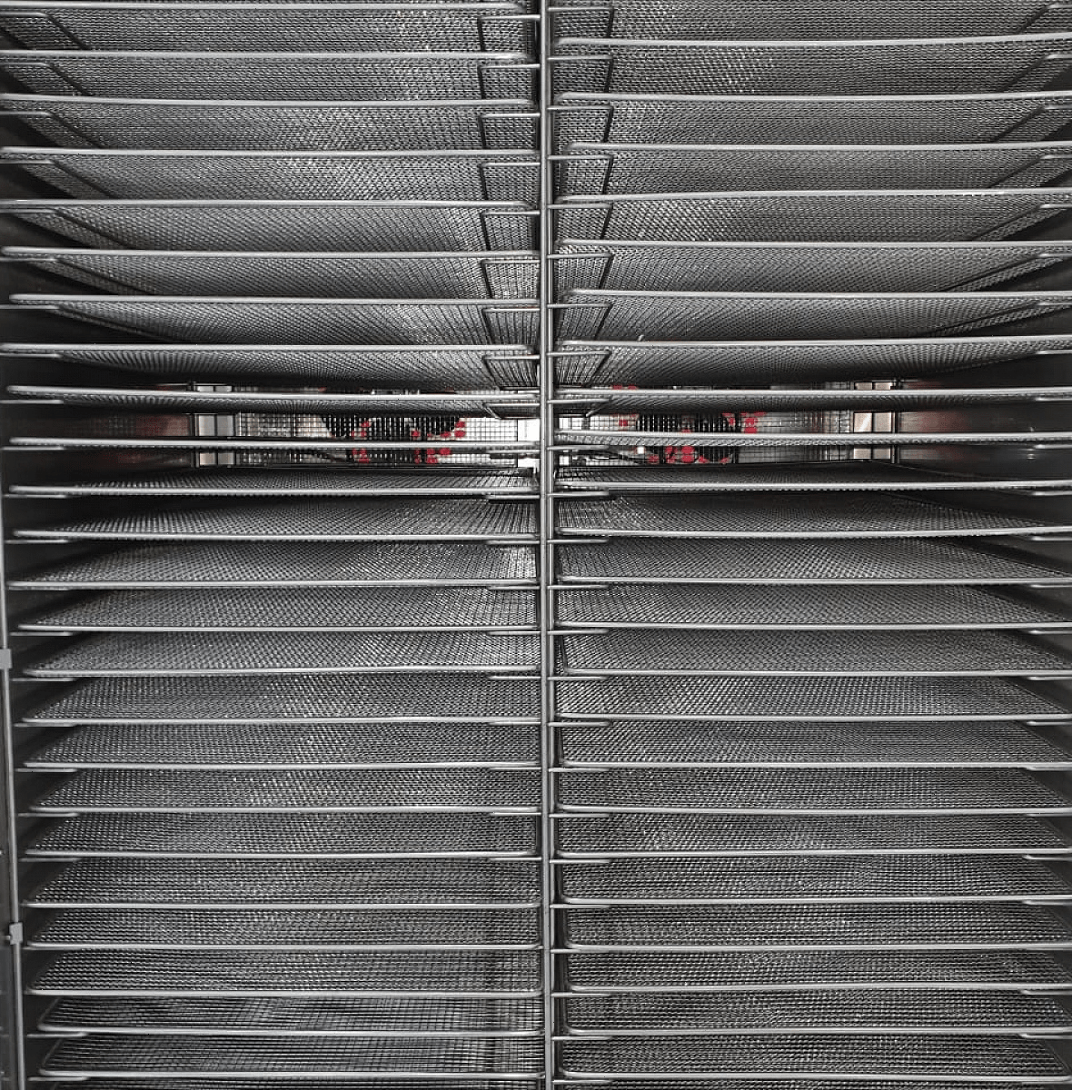 Дегидратор сушилка Abat ШС-32-1-03 (71000000384)